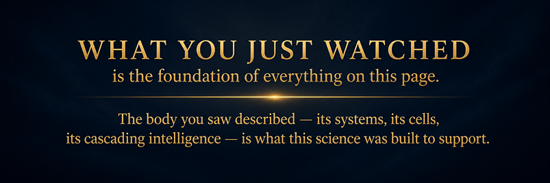 WHAT YOU JUST WATCHED is the foundation of everything on this page. | The body you saw described — its systems, its cells, its cascading intelligence — is what this science was built to support.